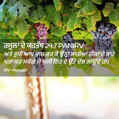 Picture 02 - ਰਸੂਲਾਂ ਦੇ ਕਰਤੱਬ 24:7 PANIRV - ਅਤੇ ਤੁਸੀਂ ਆਪ ਜਾਂਚ - Bible Verse Picture
