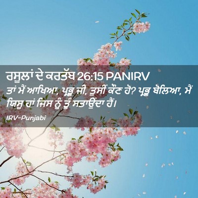 Picture 02 - ਰਸੂਲਾਂ ਦੇ ਕਰਤੱਬ 26:15 PANIRV - ਤਾਂ ਮੈਂ ਆਖਿਆ, ਪ੍ਰਭੂ - Bible Verse Picture