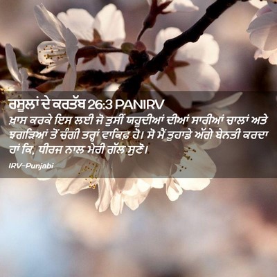 Picture 02 - ਰਸੂਲਾਂ ਦੇ ਕਰਤੱਬ 26:3 PANIRV - ਖ਼ਾਸ ਕਰਕੇ ਇਸ ਲਈ ਜੋ - Bible Verse Picture