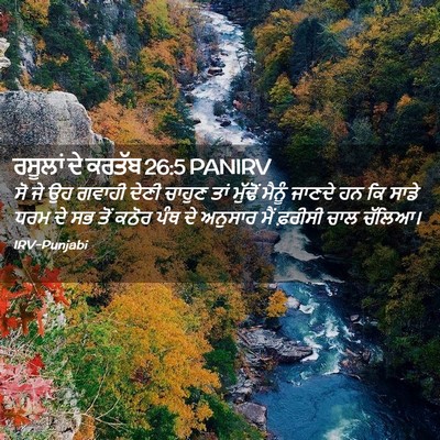 Picture 02 - ਰਸੂਲਾਂ ਦੇ ਕਰਤੱਬ 26:5 PANIRV - ਸੋ ਜੇ ਉਹ ਗਵਾਹੀ ਦੇਣੀ - Bible Verse Picture