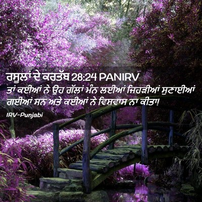 Picture 02 - ਰਸੂਲਾਂ ਦੇ ਕਰਤੱਬ 28:24 PANIRV - ਤਾਂ ਕਈਆਂ ਨੇ ਉਹ - Bible Verse Picture