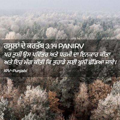 Picture 02 - ਰਸੂਲਾਂ ਦੇ ਕਰਤੱਬ 3:14 PANIRV - ਪਰ ਤੁਸੀਂ ਉਸ ਪਵਿੱਤਰ - Bible Verse Picture