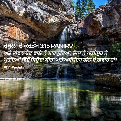 Picture 02 - ਰਸੂਲਾਂ ਦੇ ਕਰਤੱਬ 3:15 PANIRV - ਅਤੇ ਜੀਵਨ ਦੇਣ ਵਾਲੇ - Bible Verse Picture