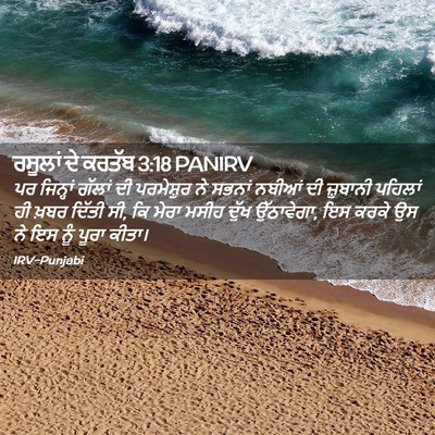 Picture 02 - ਰਸੂਲਾਂ ਦੇ ਕਰਤੱਬ 3:18 PANIRV - ਪਰ ਜਿਨ੍ਹਾਂ ਗੱਲਾਂ - Bible Verse Picture