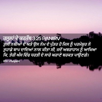 Picture 02 - ਰਸੂਲਾਂ ਦੇ ਕਰਤੱਬ 3:25 PANIRV - ਤੁਸੀਂ ਨਬੀਆਂ ਦੇ ਅਤੇ - Bible Verse Picture