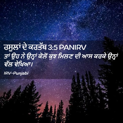 Picture 02 - ਰਸੂਲਾਂ ਦੇ ਕਰਤੱਬ 3:5 PANIRV - ਤਾਂ ਉਹ ਨੇ ਉਨ੍ਹਾਂ - Bible Verse Picture