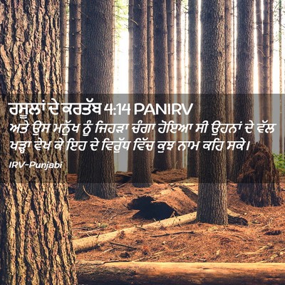 Picture 02 - ਰਸੂਲਾਂ ਦੇ ਕਰਤੱਬ 4:14 PANIRV - ਅਤੇ ਉਸ ਮਨੁੱਖ ਨੂੰ - Bible Verse Picture