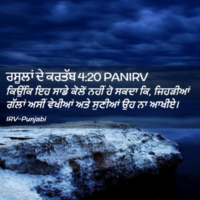 Picture 02 - ਰਸੂਲਾਂ ਦੇ ਕਰਤੱਬ 4:20 PANIRV - ਕਿਉਂਕਿ ਇਹ ਸਾਡੇ - Bible Verse Picture