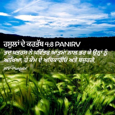Picture 02 - ਰਸੂਲਾਂ ਦੇ ਕਰਤੱਬ 4:8 PANIRV - ਤਦ ਪਤਰਸ ਨੇ ਪਵਿੱਤਰ - Bible Verse Picture