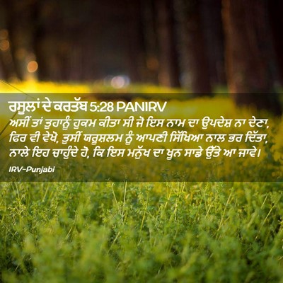 Picture 02 - ਰਸੂਲਾਂ ਦੇ ਕਰਤੱਬ 5:28 PANIRV - ਅਸੀਂ ਤਾਂ ਤੁਹਾਨੂੰ - Bible Verse Picture