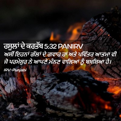 Picture 02 - ਰਸੂਲਾਂ ਦੇ ਕਰਤੱਬ 5:32 PANIRV - ਅਸੀਂ ਇਹਨਾਂ ਗੱਲਾਂ - Bible Verse Picture
