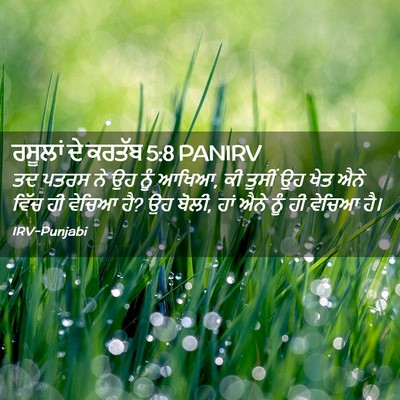 Picture 02 - ਰਸੂਲਾਂ ਦੇ ਕਰਤੱਬ 5:8 PANIRV - ਤਦ ਪਤਰਸ ਨੇ ਉਹ ਨੂੰ - Bible Verse Picture