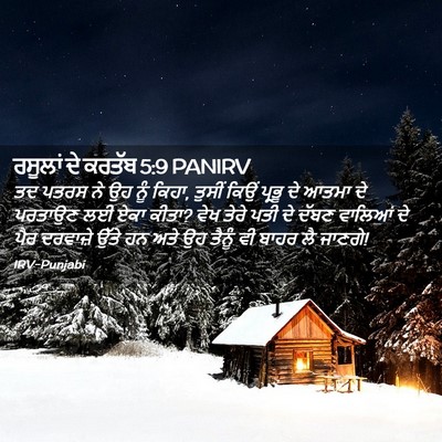 Picture 02 - ਰਸੂਲਾਂ ਦੇ ਕਰਤੱਬ 5:9 PANIRV - ਤਦ ਪਤਰਸ ਨੇ ਉਹ ਨੂੰ - Bible Verse Picture