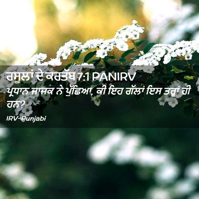 Picture 02 - ਰਸੂਲਾਂ ਦੇ ਕਰਤੱਬ 7:1 PANIRV - ਪ੍ਰਧਾਨ ਜਾਜਕ ਨੇ - Bible Verse Picture