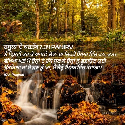 Picture 02 - ਰਸੂਲਾਂ ਦੇ ਕਰਤੱਬ 7:34 PANIRV - ਮੈਂ ਦ੍ਰਿਸ਼ਟੀ ਕਰ ਕੇ - Bible Verse Picture