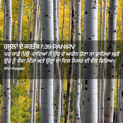 Picture 02 - ਰਸੂਲਾਂ ਦੇ ਕਰਤੱਬ 7:39 PANIRV - ਪਰ ਸਾਡੇ ਪਿਉ-ਦਾਦਿਆਂ - Bible Verse Picture