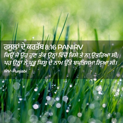 Picture 02 - ਰਸੂਲਾਂ ਦੇ ਕਰਤੱਬ 8:16 PANIRV - ਕਿਉਂ ਜੋ ਉਹ ਹੁਣ ਤੱਕ - Bible Verse Picture