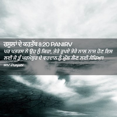 Picture 02 - ਰਸੂਲਾਂ ਦੇ ਕਰਤੱਬ 8:20 PANIRV - ਪਰ ਪਤਰਸ ਨੇ ਉਹ ਨੂੰ - Bible Verse Picture