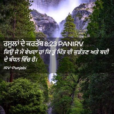 Picture 02 - ਰਸੂਲਾਂ ਦੇ ਕਰਤੱਬ 8:23 PANIRV - ਕਿਉਂ ਜੋ ਮੈਂ ਵੇਖਦਾ - Bible Verse Picture