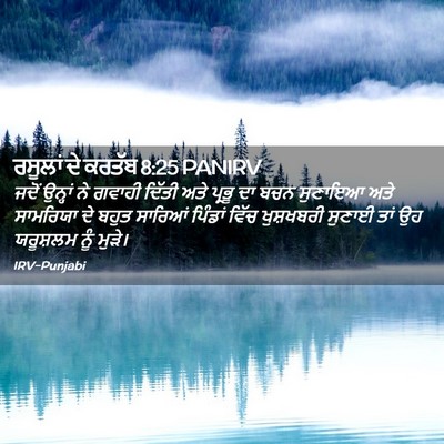 Picture 02 - ਰਸੂਲਾਂ ਦੇ ਕਰਤੱਬ 8:25 PANIRV - ਜਦੋਂ ਉਨ੍ਹਾਂ ਨੇ - Bible Verse Picture