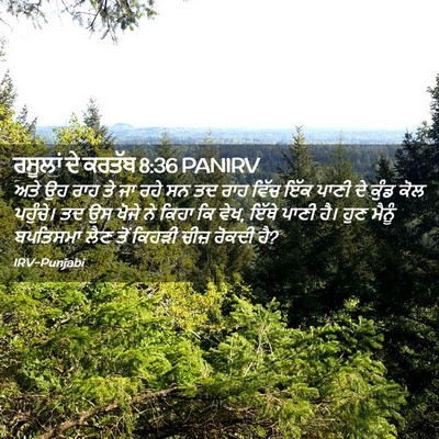 Picture 02 - ਰਸੂਲਾਂ ਦੇ ਕਰਤੱਬ 8:36 PANIRV - ਅਤੇ ਉਹ ਰਾਹ ਤੇ ਜਾ - Bible Verse Picture