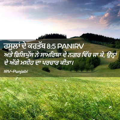 Picture 02 - ਰਸੂਲਾਂ ਦੇ ਕਰਤੱਬ 8:5 PANIRV - ਅਤੇ ਫ਼ਿਲਿਪੁੱਸ ਨੇ - Bible Verse Picture