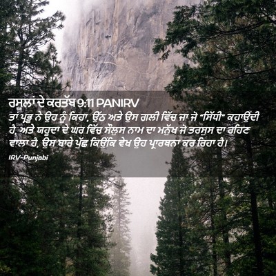 Picture 02 - ਰਸੂਲਾਂ ਦੇ ਕਰਤੱਬ 9:11 PANIRV - ਤਾਂ ਪ੍ਰਭੂ ਨੇ ਉਹ ਨੂੰ - Bible Verse Picture