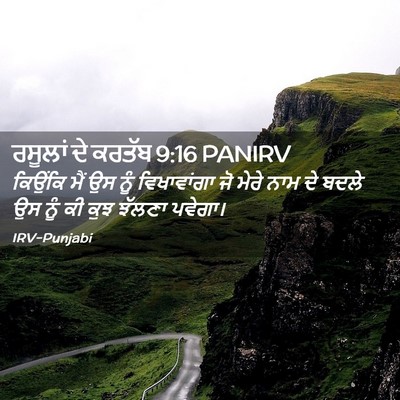 Picture 02 - ਰਸੂਲਾਂ ਦੇ ਕਰਤੱਬ 9:16 PANIRV - ਕਿਉਂਕਿ ਮੈਂ ਉਸ ਨੂੰ - Bible Verse Picture