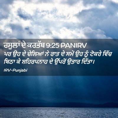 Picture 02 - ਰਸੂਲਾਂ ਦੇ ਕਰਤੱਬ 9:25 PANIRV - ਪਰ ਉਹ ਦੇ ਚੇਲਿਆਂ ਨੇ - Bible Verse Picture