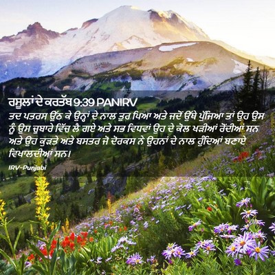 Picture 02 - ਰਸੂਲਾਂ ਦੇ ਕਰਤੱਬ 9:39 PANIRV - ਤਦ ਪਤਰਸ ਉੱਠ ਕੇ - Bible Verse Picture