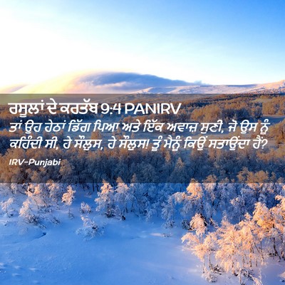 Picture 02 - ਰਸੂਲਾਂ ਦੇ ਕਰਤੱਬ 9:4 PANIRV - ਤਾਂ ਉਹ ਹੇਠਾਂ ਡਿੱਗ - Bible Verse Picture