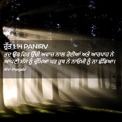 Picture 02 - ਰੁੱਤ 1:14 PANIRV - ਤਦ ਉਹ ਫਿਰ ਉੱਚੀ - Bible Verse Picture
