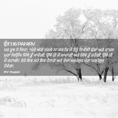 Picture 02 - ਰੁੱਤ 1:16 PANIRV - ਪਰ ਰੂਥ ਨੇ ਕਿਹਾ, - Bible Verse Picture