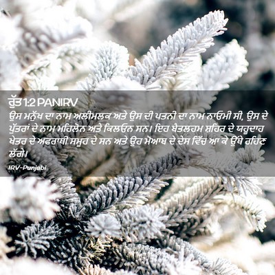 Picture 02 - ਰੁੱਤ 1:2 PANIRV - ਉਸ ਮਨੁੱਖ ਦਾ ਨਾਮ - Bible Verse Picture