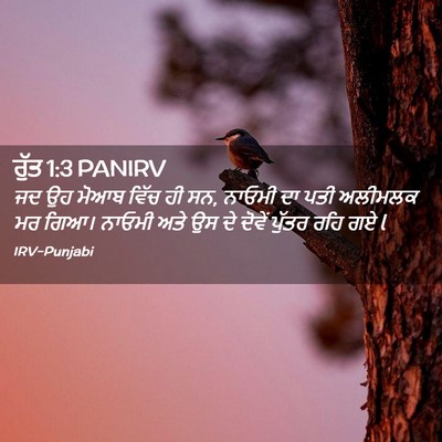 Picture 02 - ਰੁੱਤ 1:3 PANIRV - ਜਦ ਉਹ ਮੋਆਬ ਵਿੱਚ ਹੀ - Bible Verse Picture