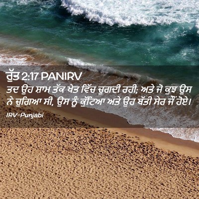 Picture 02 - ਰੁੱਤ 2:17 PANIRV - ਤਦ ਉਹ ਸ਼ਾਮ ਤੱਕ ਖੇਤ - Bible Verse Picture