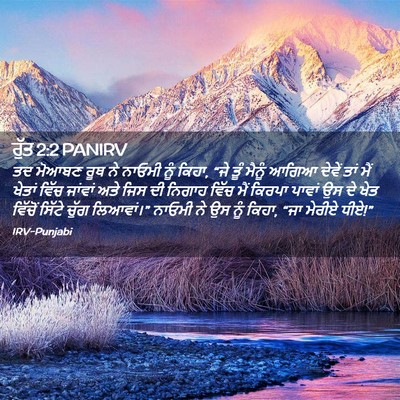 Picture 02 - ਰੁੱਤ 2:2 PANIRV - ਤਦ ਮੋਆਬਣ ਰੂਥ ਨੇ - Bible Verse Picture
