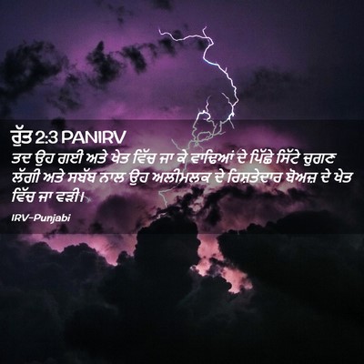 Picture 02 - ਰੁੱਤ 2:3 PANIRV - ਤਦ ਉਹ ਗਈ ਅਤੇ ਖੇਤ - Bible Verse Picture