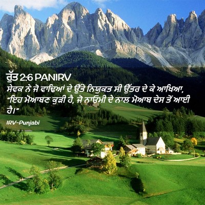 Picture 02 - ਰੁੱਤ 2:6 PANIRV - ਸੇਵਕ ਨੇ ਜੋ ਵਾਢਿਆਂ - Bible Verse Picture