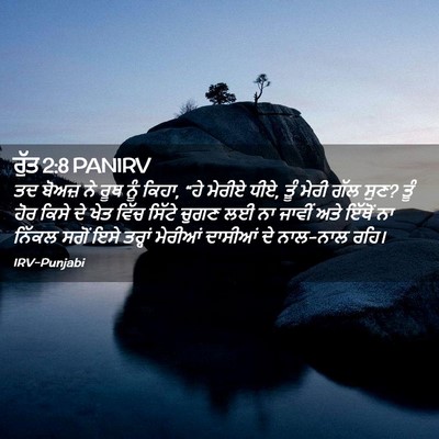 Picture 02 - ਰੁੱਤ 2:8 PANIRV - ਤਦ ਬੋਅਜ਼ ਨੇ ਰੂਥ ਨੂੰ - Bible Verse Picture