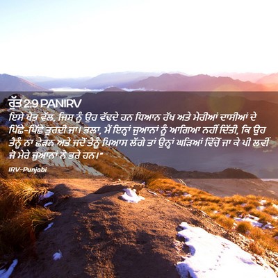 Picture 02 - ਰੁੱਤ 2:9 PANIRV - ਇਸੇ ਖੇਤ ਵੱਲ, ਜਿਸ - Bible Verse Picture