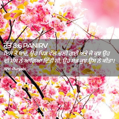 Picture 02 - ਰੁੱਤ 3:6 PANIRV - ਇਸ ਤੋਂ ਬਾਦ, ਉਹ ਪਿੜ - Bible Verse Picture