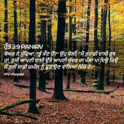 Picture 02 - ਰੁੱਤ 3:9 PANIRV - ਬੋਅਜ਼ ਨੇ ਪੁੱਛਿਆ, - Bible Verse Picture