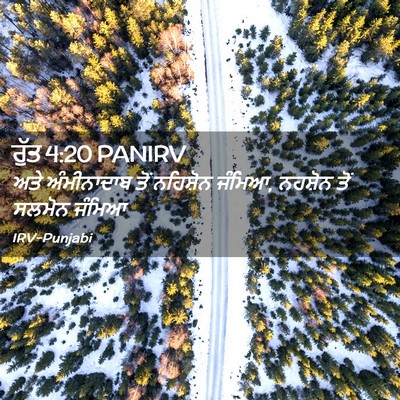 Picture 02 - ਰੁੱਤ 4:20 PANIRV - ਅਤੇ ਅੰਮੀਨਾਦਾਬ ਤੋਂ - Bible Verse Picture
