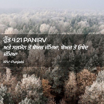 Picture 02 - ਰੁੱਤ 4:21 PANIRV - ਅਤੇ ਸਲਮੋਨ ਤੋਂ - Bible Verse Picture