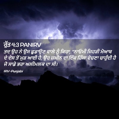 Picture 02 - ਰੁੱਤ 4:3 PANIRV - ਤਦ ਉਹ ਨੇ ਉਸ ਛੁਡਾਉਣ - Bible Verse Picture