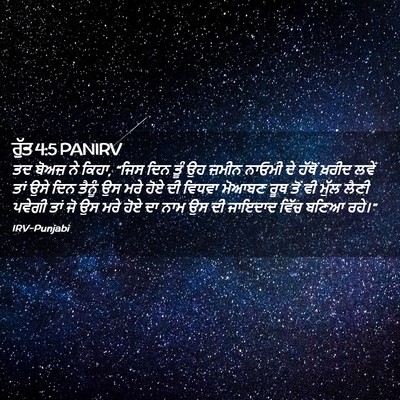 Picture 02 - ਰੁੱਤ 4:5 PANIRV - ਤਦ ਬੋਅਜ਼ ਨੇ ਕਿਹਾ, - Bible Verse Picture