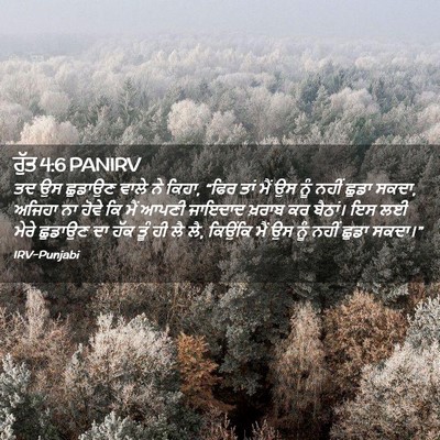 Picture 02 - ਰੁੱਤ 4:6 PANIRV - ਤਦ ਉਸ ਛੁਡਾਉਣ ਵਾਲੇ - Bible Verse Picture