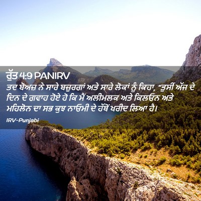 Picture 02 - ਰੁੱਤ 4:9 PANIRV - ਤਦ ਬੋਅਜ਼ ਨੇ ਸਾਰੇ - Bible Verse Picture