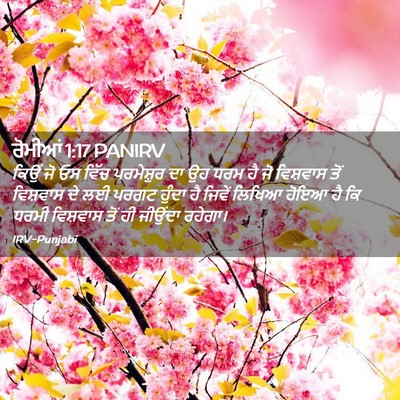Picture 02 - ਰੋਮੀਆਂ 1:17 PANIRV - ਕਿਉਂ ਜੋ ਓਸ ਵਿੱਚ - Bible Verse Picture